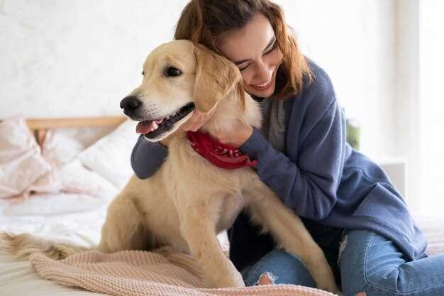 Симптомы и возможные причины насморка у собаки чихуахуа