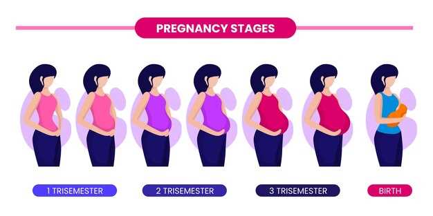 Физические характеристики беременного живота